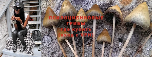 mdpv Белокуриха
