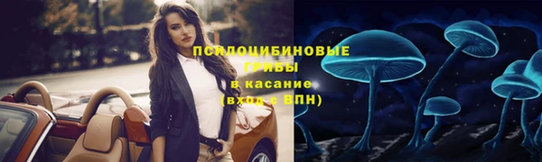 mdpv Белокуриха