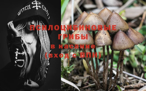 не бодяженный Беломорск