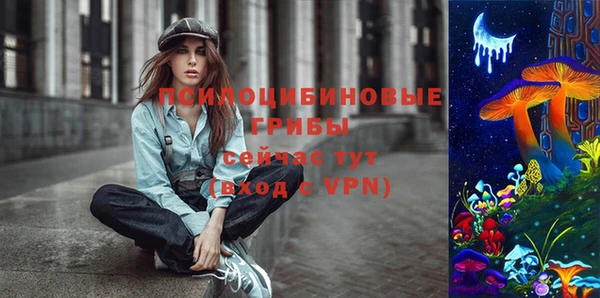 mdpv Белокуриха