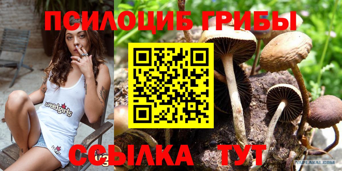 Псилоцибиновые грибы Cubensis  Псилоцибиновые грибы Psilocybe  Кунгур  Вход с VPN 